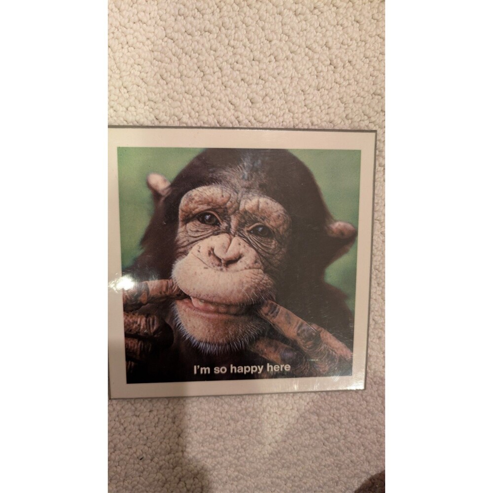 Pigment Animal Antics Picture